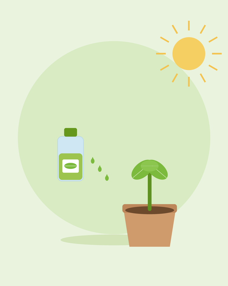 Illustration stylisée d'un flacon d'engrais liquide avec des gouttes à côté d'un plant en pot — nourrir et fertiliser les plantes, par SeedsChoice