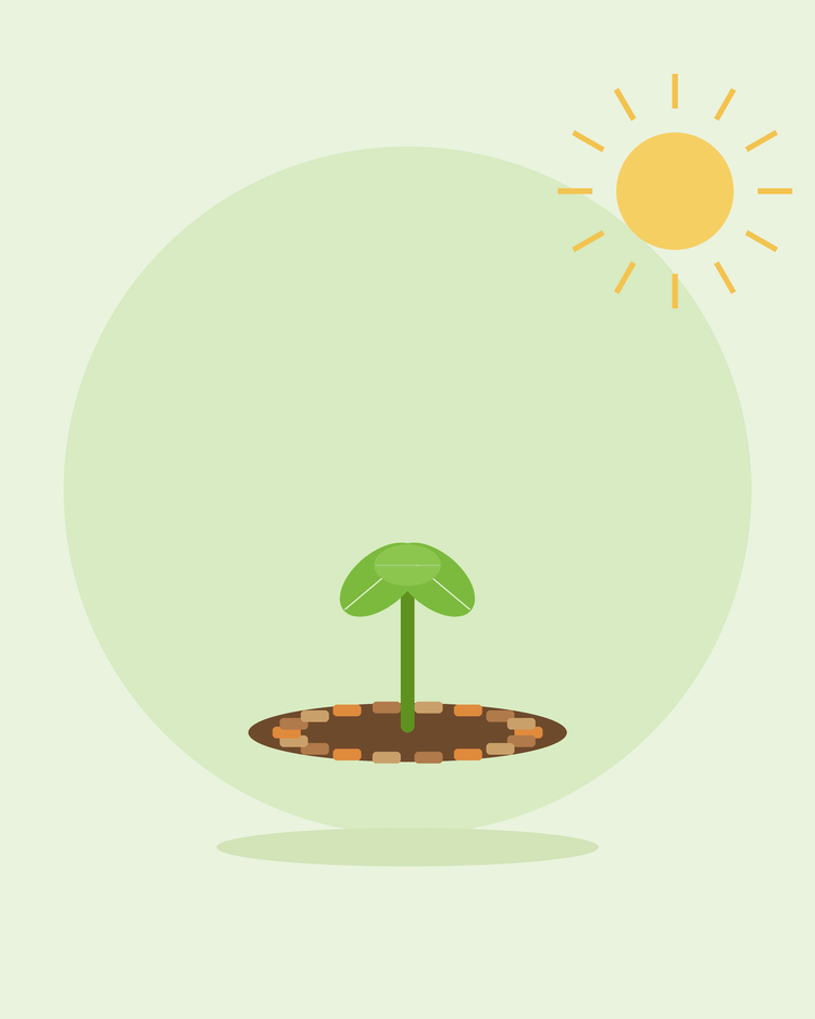 Illustration stylisée d'un plant entouré de copeaux de paillis — paillage et désherbage, par SeedsChoice