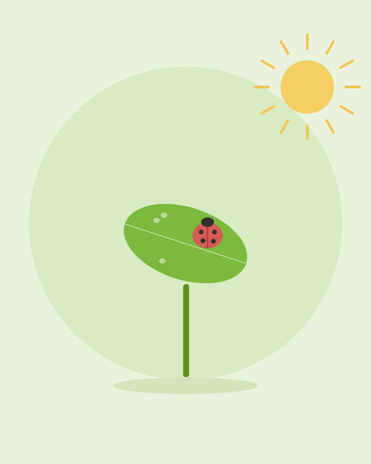 Illustration stylisée d'une coccinelle sur une feuille parmi des pucerons — lutter contre les nuisibles courants du jardin, par SeedsChoice