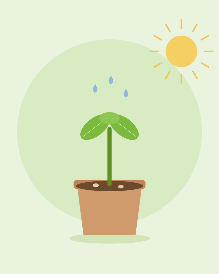 Platte illustratie van een jonge zaailing die ontkiemt in een bloempot onder de zon met waterdruppels — zaden laten kiemen van SeedsChoice