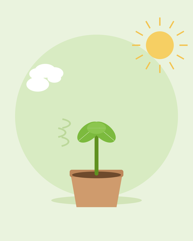 Illustration stylisée d'un plant en pot exposé au soleil et à la brise en extérieur — acclimatation des jeunes plants, par SeedsChoice
