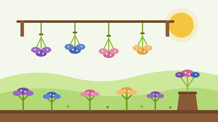 Hoe je statice droogt — vlakke illustratie van trossen paarse, blauwe, roze en abrikoosgele statice die ondersteboven hangen te drogen boven een tuinbed