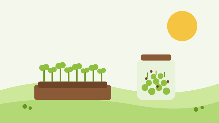 Comment faire pousser des micro-pousses et des graines germées — illustration de style aplat représentant un plateau de micro-pousses et un bocal de graines germées sur un rebord de fenêtre