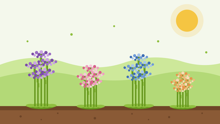 Hoe je strandsering kweekt vanuit zaad — vlakke illustratie van pollen paarse, roze, blauwe en abrikoosgekleurde statice-bloemen op gevleugelde stengels in een zonnig tuinbed