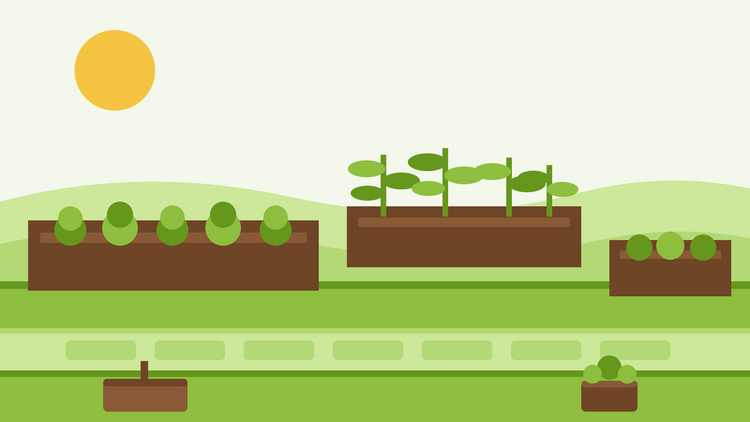 Hoogbed tuinieren voor beginners — platte illustratie van drie houten hoogbedden gevuld met aarde en rijen jonge groenteplantennaast een tuinpad