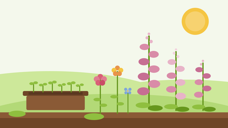 Semer des digitales et des bisannuelles — illustration graphique d'un plateau de semis avec de jeunes pousses vertes, à côté d'épis de digitales roses, de giroflées et de Dianthus barbatus (sweet William) dans un jardin estival, par SeedsChoice