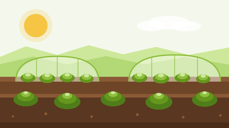 Wintersla — platte illustratie van slabedden onder cloches en vliesdunnel met een lage winterzon