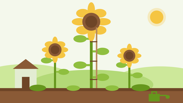Hoe je reuzenzonnebloemen kweekt vanuit zaad — vlakke illustratie van een hoge, gesteunde zonnebloem naast kleinere zonnebloemen en een tuinschuur als maatstaf
