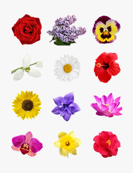 collection_image