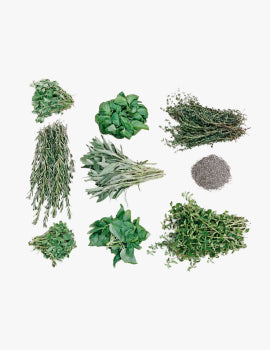 collection_image