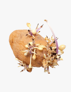 collection_image