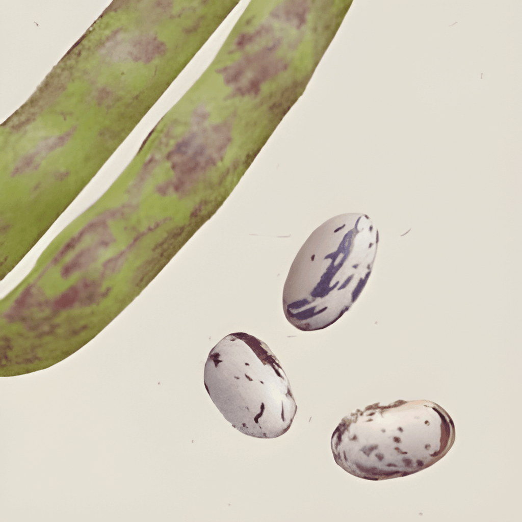 collection_image
