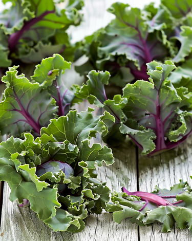 Graines de pousses Garden Mix F1 (Brassica oleracea) – fleur annuelle