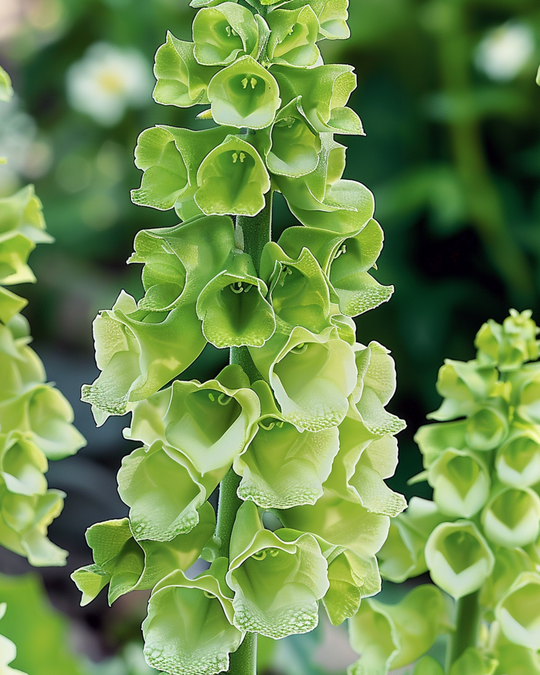 Green flowers