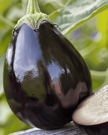 Eggplant Black Beauty seeds (Solanum melongena) – annual vegetable