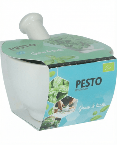 Graines de basilic Mortar Set (Ocimum basilicum) – herbe aromatique bio