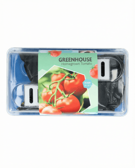 Tomato Seeds Maja Solanum Lycopersicum Greenhouse Kit Patio Variety