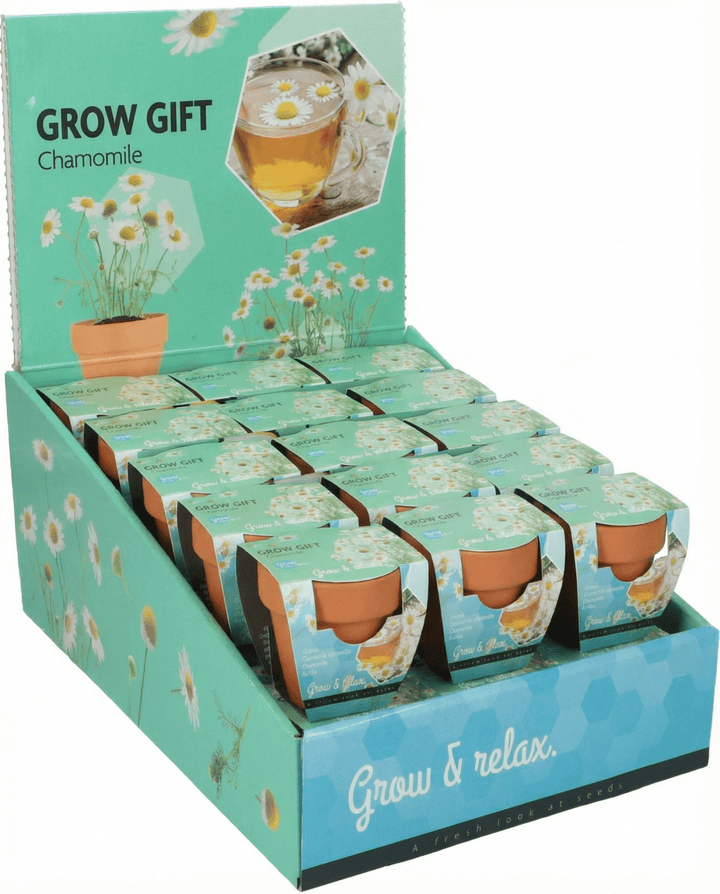 Chamomile seeds (Matricaria chamomilla) – annual grow kit