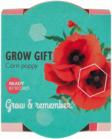 Graines de coquelicot Corn Poppy Terracotta Pot (Papaver rhoeas) – kit de culture en pot, fleur annuelle