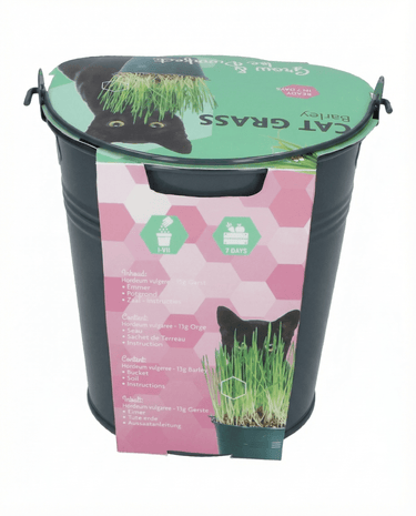 Graines de seau d'herbe à chat Orge (Hordeum vulgare) – kit de culture
