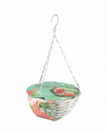 Hanging Basket Strawberry Temptation seeds – grow kit from SeedsChoice