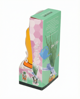 Italiaans Raaigras Zaden Lolium Multiflorum Decoratief Grasfiguur Eend