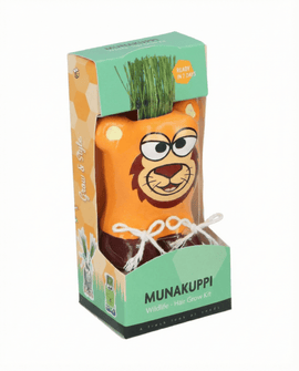 Italian Ryegrass Seeds Lolium Multiflorum Kit