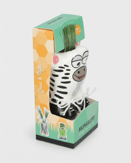 Lolium Multiflorum graines Lolium Multiflorum kit d'herbe Zebra