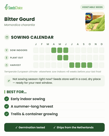 Calendrier de semis pour la Margose dans un climat européen tempéré : semis en intérieur d'avril à juin, repiquage de mai à juin, récolte de juillet à octobre ; les graines se conservent bien jusqu'à la prochaine saison de semis