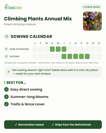 Zaaikalender voor Climbing Plants Annual Mix in een gematigd Europees klimaat: direct zaaien april t/m juni, bloeit juni t/m oktober; zaden blijven goed bewaarbaar tot het volgende zaaiseizoen