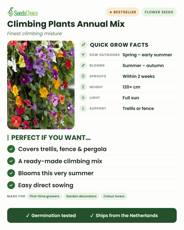 Eenjarige klimplanten mix snelle groeifeiten: direct zaaien in de lente, bloeit van zomer tot herfst, hoogte 120+ cm, volle zon, klimrek of schutting als steun — een kant-en-klare mix om klimrekken, schuttingen en pergola's te bedekken