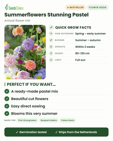 Summerflowers Stunning Pastel mix snelle groeifeitjes: direct zaaien van lente tot vroege zomer, bloeit van zomer tot herfst, hoogte 80-120 cm, volle zon — een kant-en-klare pastelkleurige snijbloemenmix